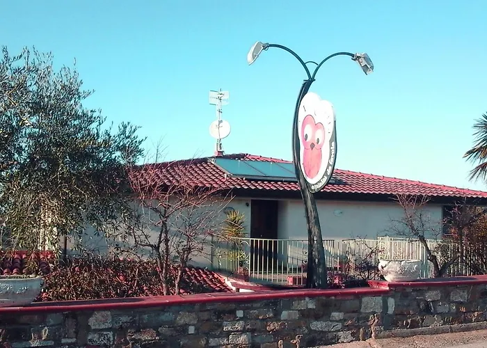 住宿加早餐酒店 猫头鹰酒店