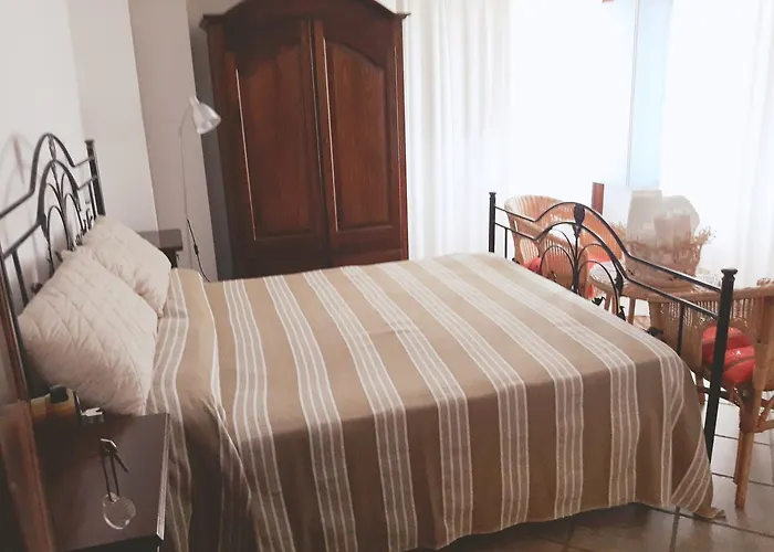 猫头鹰酒店 3* 阿格罗波利