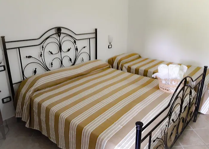 猫头鹰酒店 阿格罗波利