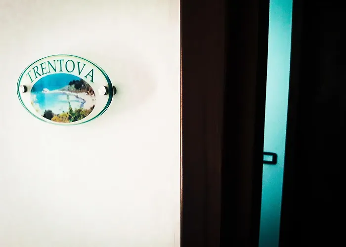 猫头鹰酒店 住宿加早餐酒店